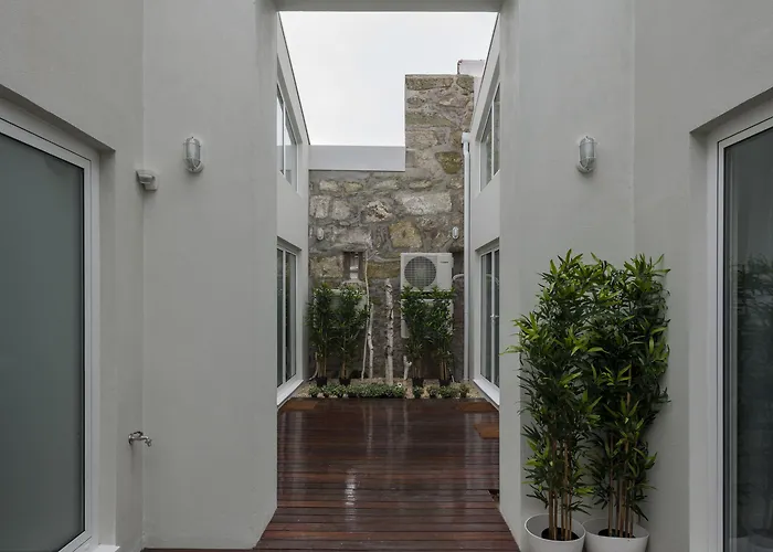 Fine Arts By Olala Homes Apartment Porto