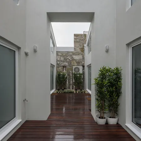 Fine Arts By Olala Homes Lejlighed Porto